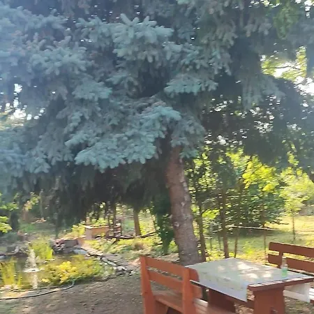 Norbi Vendeghaz *