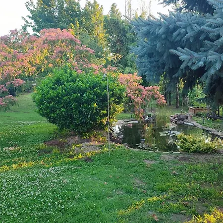 公寓 Norbi Vendeghaz *