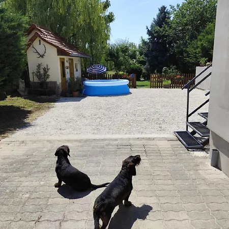 Apartmán Norbi Vendeghaz *