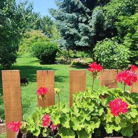 Norbi Vendeghaz 公寓 *