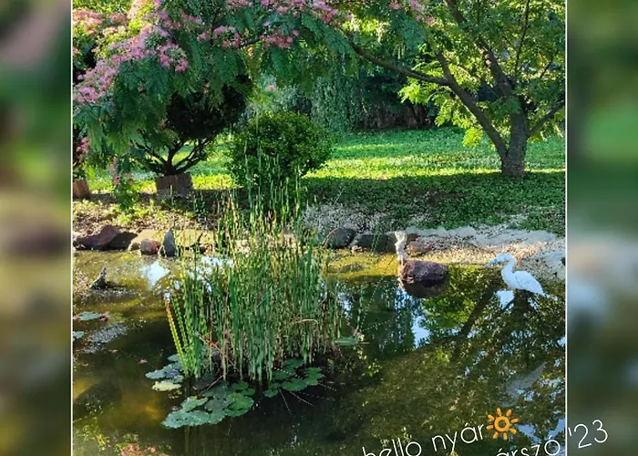 公寓 Norbi Vendeghaz