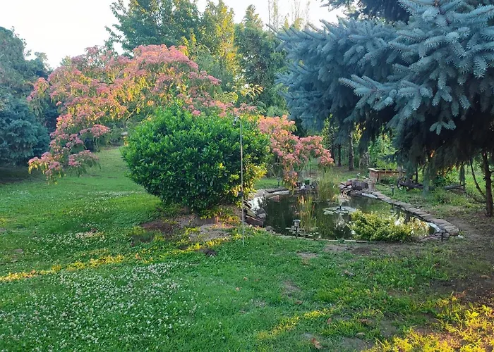 公寓 Norbi Vendeghaz *