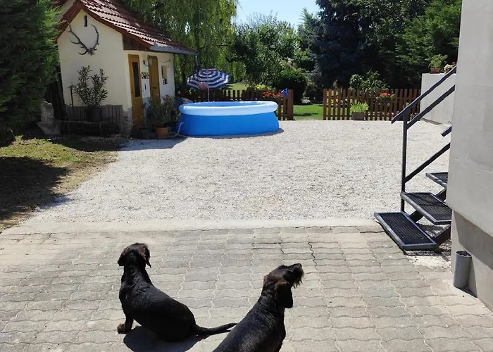 公寓 Norbi Vendeghaz *