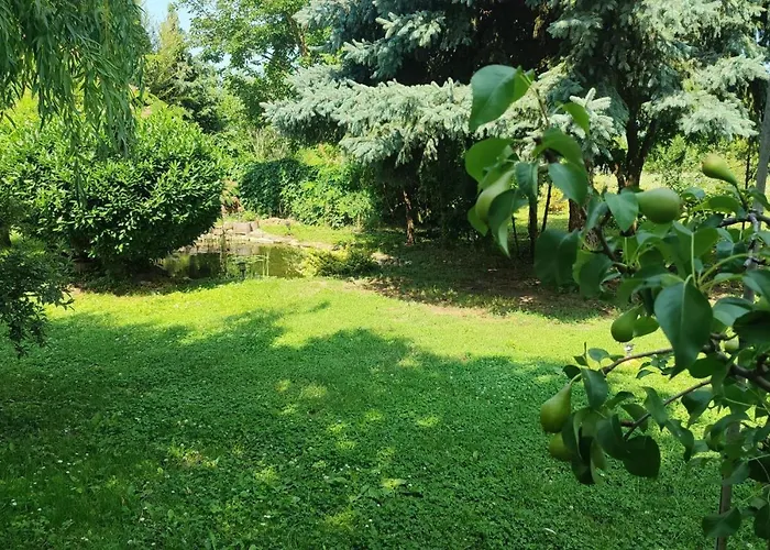 Norbi Vendeghaz