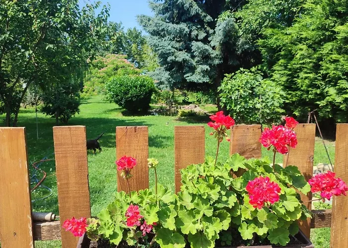 Norbi Vendeghaz 公寓 *